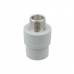 Муфта PPR Raftec 20мм ЗЗ 3/4' RMC2002